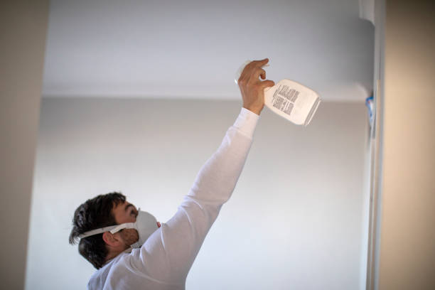 Best Mold Testing and Inspection Services in Ormond By The Sea, FL